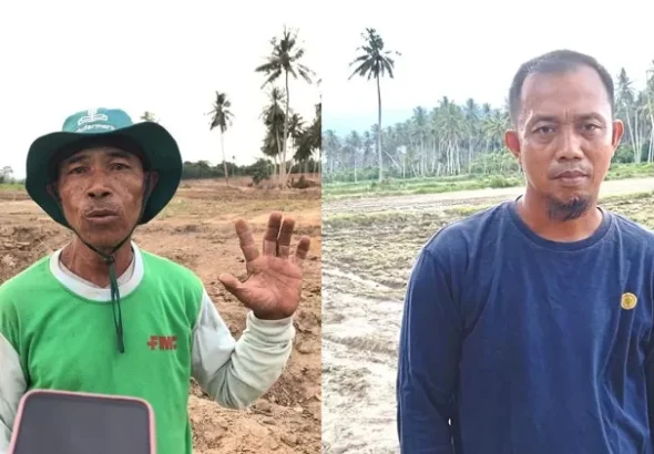 Cetak-Sawah-1248807532